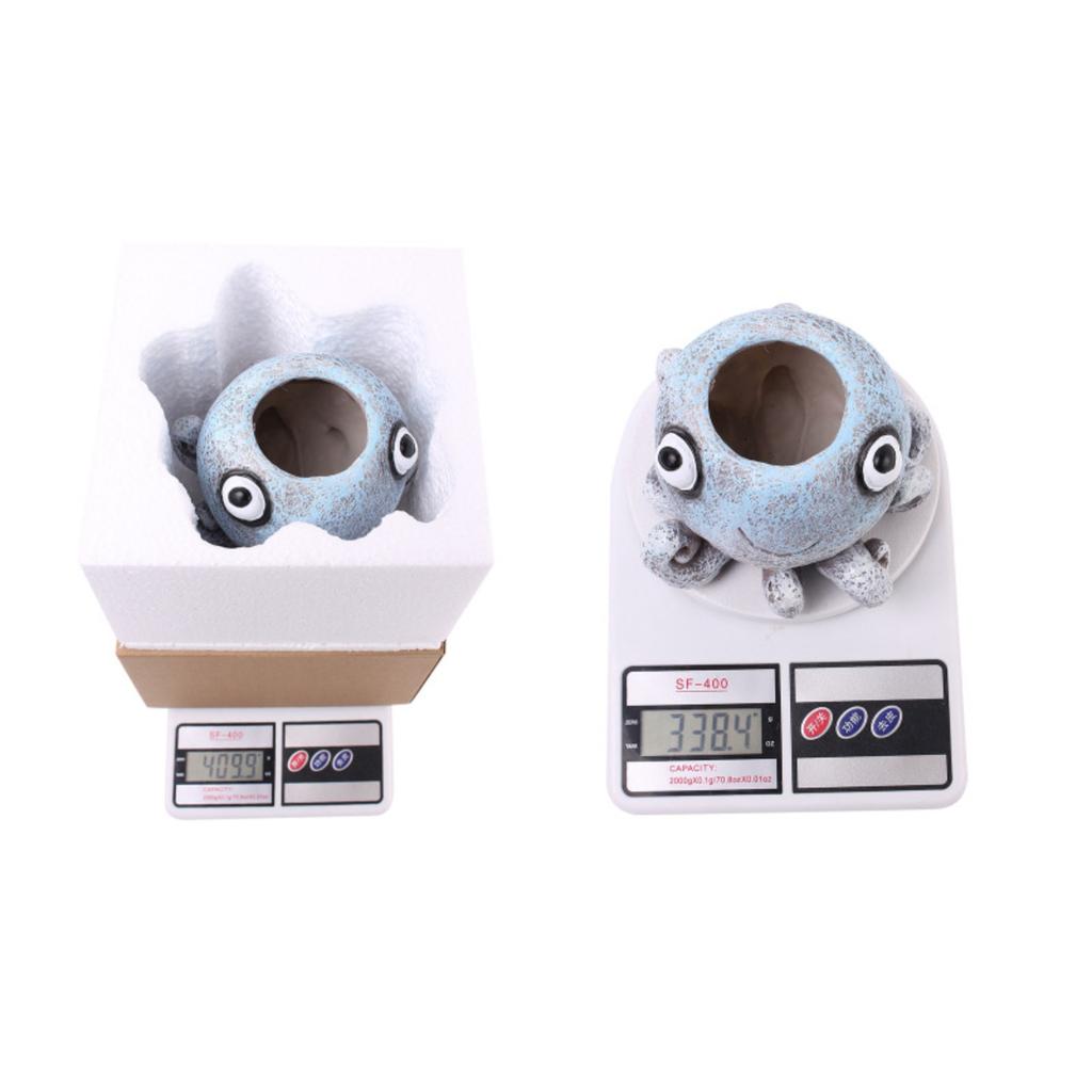 Забавный цветочный горшок для украшения сада, креативное украшение для двора с суккулентами