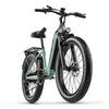 JOOBIKE JOO1 Adult Outdoor  E-Bike 48V17.5AH Battery 1000W Motor City Electric Mountain Bicycle 26 Inch Off-Road Electric Bicycle