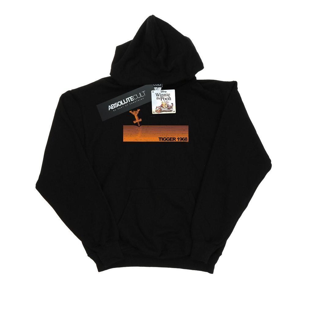 Disney Boys Winnie The Pooh Tigger 1968 Hoodie