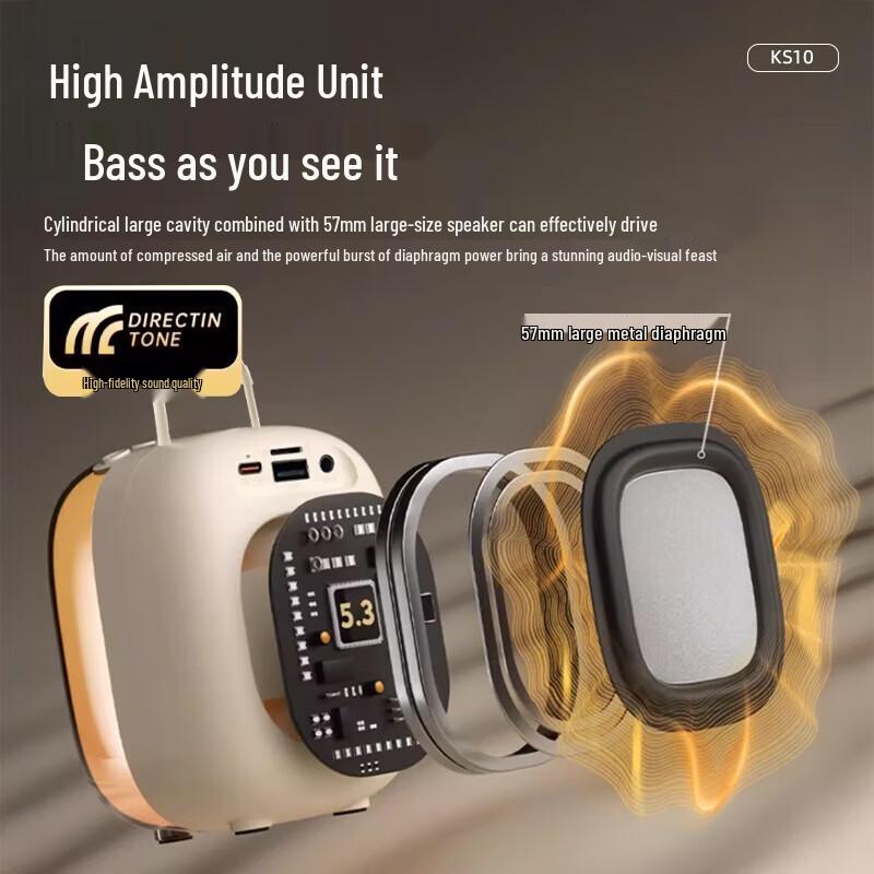 Newmine KS10 Karaoke Bluetooth Speaker