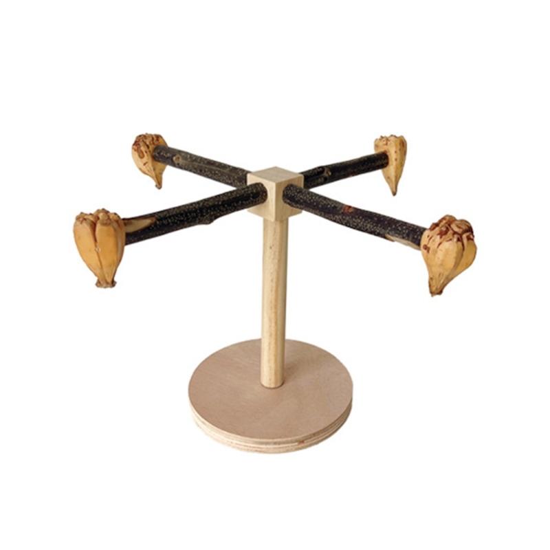 Деревянная жердочка для птиц, вращающаяся молярная подставка для попугаев, припасы для корелл, жердочки-скребки для маленьких и средних попугаев