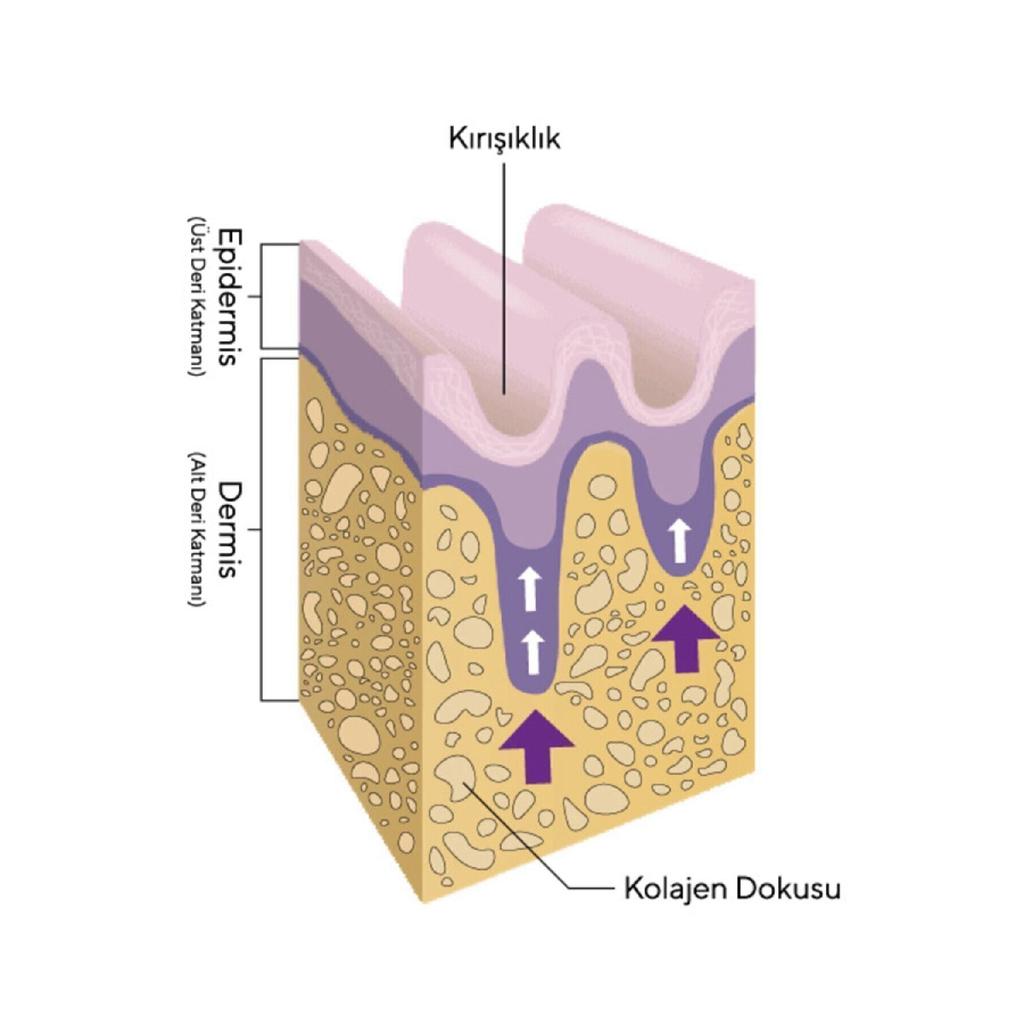 Wecollagen 90 Tablets-3000mg Collagen Type 1-2-3 Bee Milk Biotin 100%pure And Natural Diet Supplement