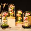 Preserved Rose In Glass Dome LED Light Up Eternal Flower Romantic Forever Rose Gift for Women Valentine's Day Mother's Day