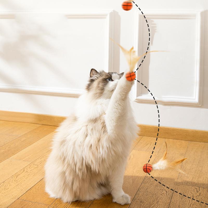 Кошки самодовольные и забавные упругие мячики, кошачья упругость, хватка, укус, спортивные мячи, безопасные и креативные кошачьи игрушки, кошачьи принадлеж