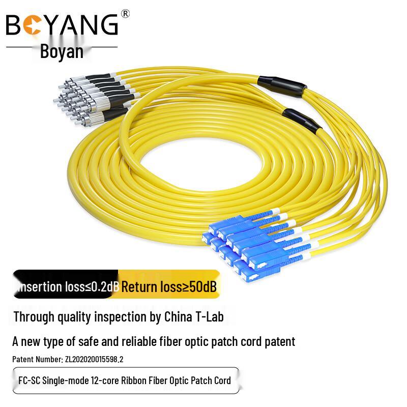 Boyang 12-Core FC-SC Single-Mode Branchable Fiber Patch Cord