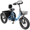 Электрический грузовой трехколесный велосипед ESKUTE T302 Pro, аккумулятор 48 В 20,8 Ач, с задним сиденьем и спинкой, передней и задней корзинами