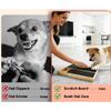Dog Nail Scratch Pad with Treat Box, Solid Wood Filing Board, Trims Nails Naturally, Indoor and Outdoor Training Tool, Black