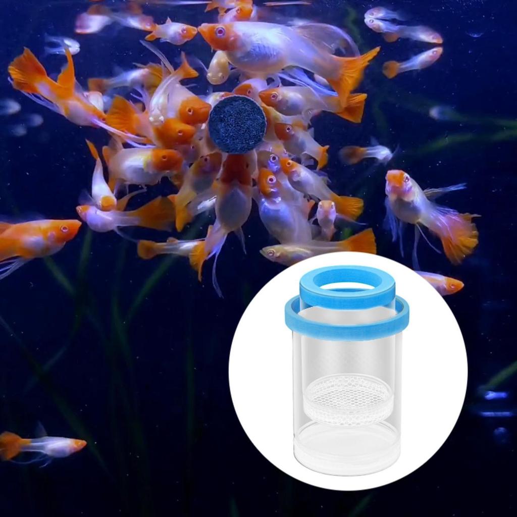 Изоляционный ящик для разведения рыб для аквариума, пластиковая сетка, инкубатор, ящик для разведения мальков рыбок, креветок, рыб-клоунов, гуппи