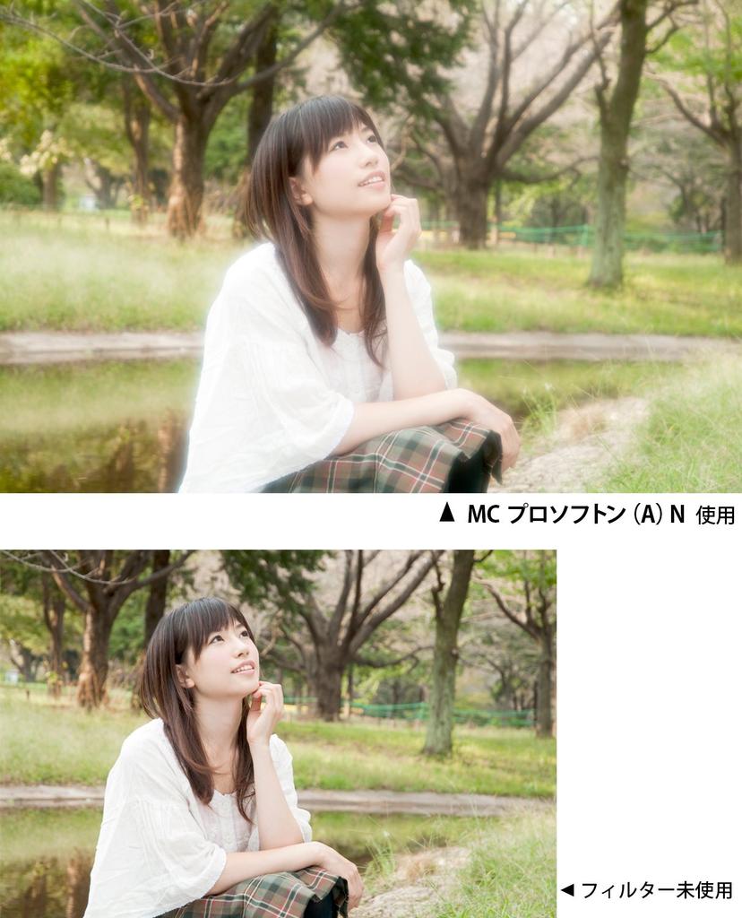 Фильтр объектива Kenko MC Pro Softon N 67 мм для мягкого эффекта 367902 (К)