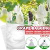100Pcs Drawstring Style Grape Protect Bag Fruit Protection Bags Mesh Bag Against Insect Pouch Waterp