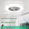 Modern Minimalist Inverter Ceiling Fan with LED Light