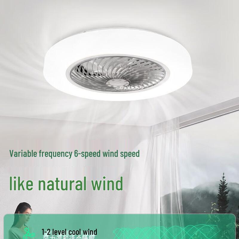 Modern Minimalist Inverter Ceiling Fan with LED Light