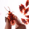 Halloween Funny Toys Special Model Lifelike Blackbeetle Joke Fake Roaches Cockroach Shape Toy