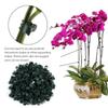 100Pcs Supplies Garden Tools Plant Clips Vine Grafting Butterfly Clamp  Fruit Vegetable Stem