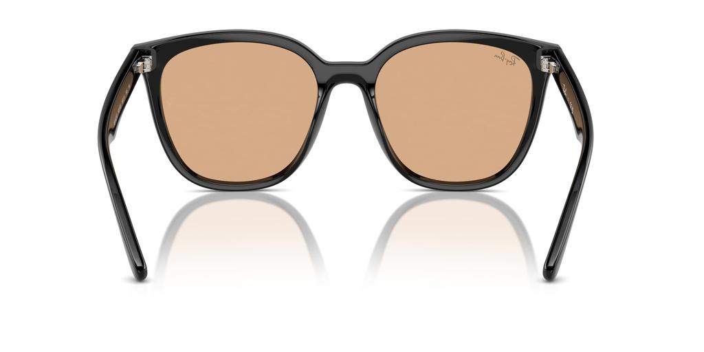 Ray-Ban RB4423D 66 Black Unisex Square Frame Sunglasses