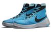 Nike Hyperdunk 2015 Premium Синий 749561-400