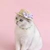 Puppy Straw Hat Outdoor Sunbonnet Costume Flower Hat Outdoor Lace Belt