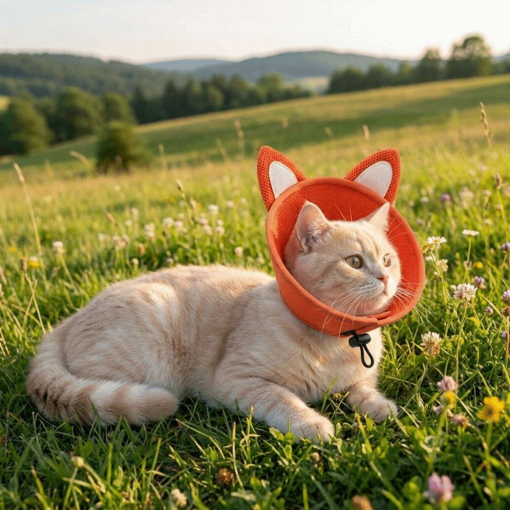 Animal Shaped Cat Elizabeth Collar Adjustable Cat Recovery Collar Cat Cone Collar Anti-Scratching