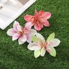 Barrettes Orchid Flower Hairpin Bohemia Korean Style Hairpins  Daily
