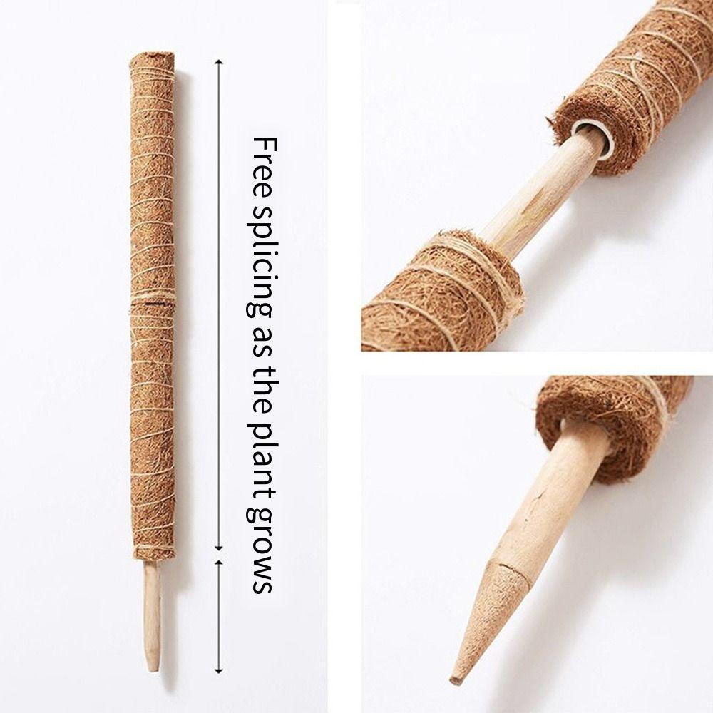 Практичные 30/40/50 см Моховые шесты Прочные Растущие вверх Кокосовые Тотемные столбы Штабелируемые Не повреждающие Моховые палки Главная