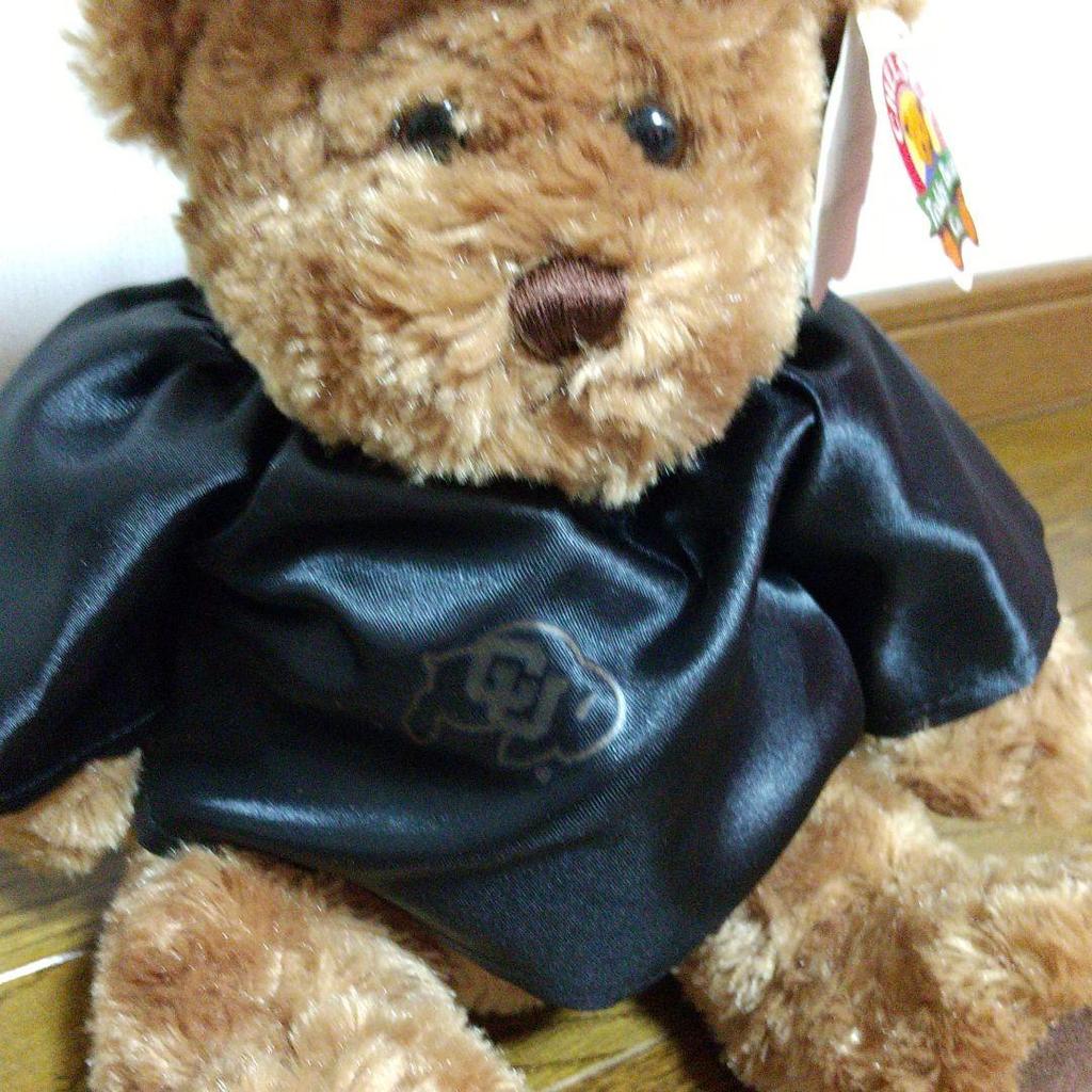 [USED] Teddy Bear Cambridge Official UK