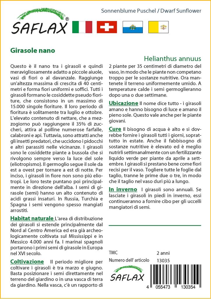 SAFLAX Подсолнечник карликовый - 40 семян - Helianthus annuus