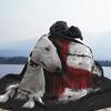 Английский бультерьер Love Throw Одеяло Одеяло Диван Плюшевые Одеяла Одеяло Портативные Мягкие Одеяла Для Дома Покрывала Для Автомобиля