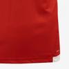Puma Galleria Puma Teamlia Jersey Asia Sp Short Sleeve Round Neck Tee 70515001