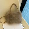 Autumn and Winter New Furry Bag Fur Crossbody Shoulder Strap Plush Bag Versatile Large Capacity Handbag for Women