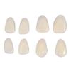New 100Pcs Dental Temporary Crown Veneers for Anterior Front Teeth Whitening