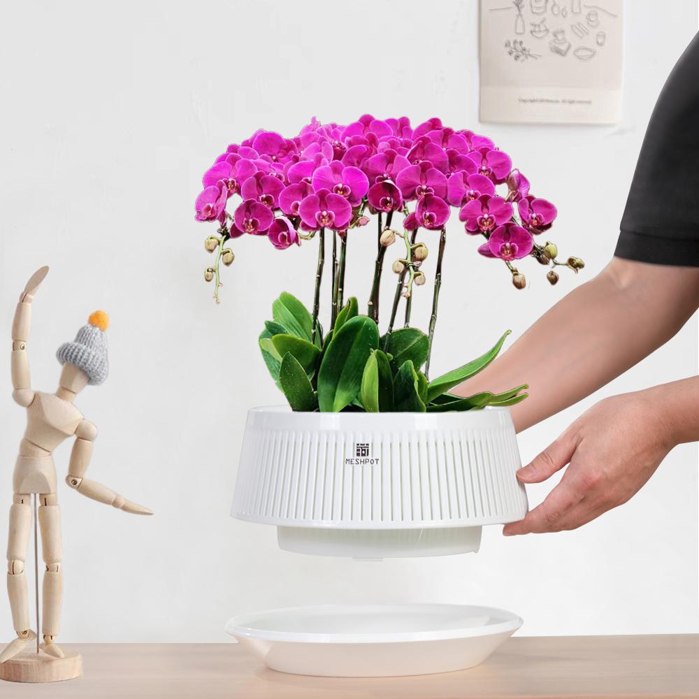 Meshpot Orchid Pot with Holes Plastic Flower Pot Decorative African Violet Pots with Air-Pruning and Good Air Circulation