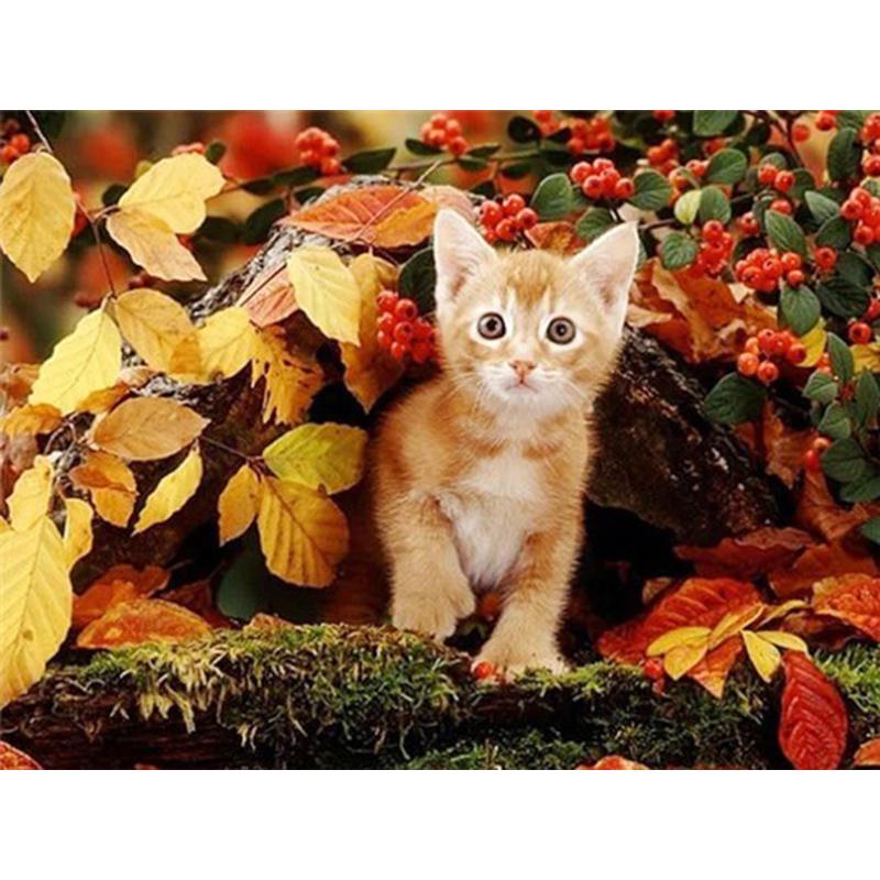 5D DIY Алмазная картина Набор Цветок Кошка Искусство Алмазная вышивка Стразы Украшения для дома
