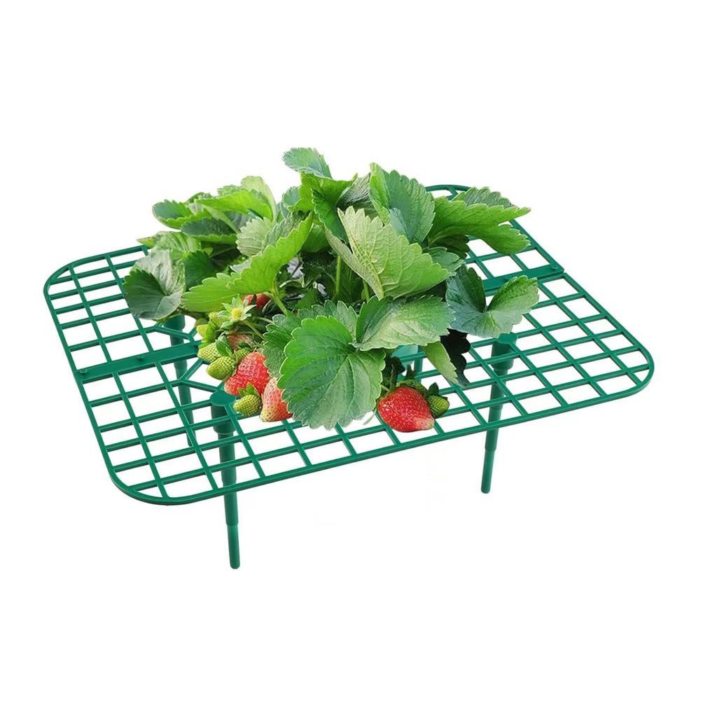 1/6/8 шт. Поддержка клубничных растений Подставка для посадки клубники Поддержание клубничных растений Стойка для выращивания клубники Выращивание