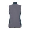 Regatta Womens/Ladies Avidly Softshell Gilet