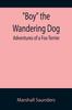 Книга Boy the Wandering Dog : Adventures of a Fox-Terrier