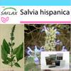 Gift Set - Mexican Chia - 500 Seeds - With Gift Box, Card, Label and Potting Substrate - Salvia Hispanica