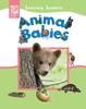 Книга Animal Babies : 1