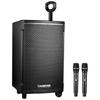 Takstar WDA-1200 Портативная беспроводная Bluetooth-колонка на колесиках, китайская вилка (адаптер в комплекте)