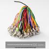100 Colorful Double Loop Mobile Phone Lanyards - Doll Polyester Pendant Ropes for DIY Jewelry and Handmade Projects