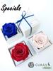 CURAS Preserved Rose Flowers with Natural Diamond and Glitter (Blue, White Box)