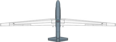 Miniwing JASDF Global Hawk Пластиковая модель MWG144374 1/144 RQ-4B