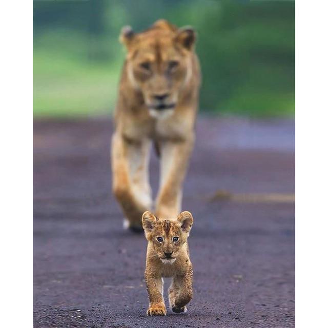 5D Алмазная картина Лев Мать и сын Набор для вышивки крестом Ручная алмазная вышивка Горный хрусталь