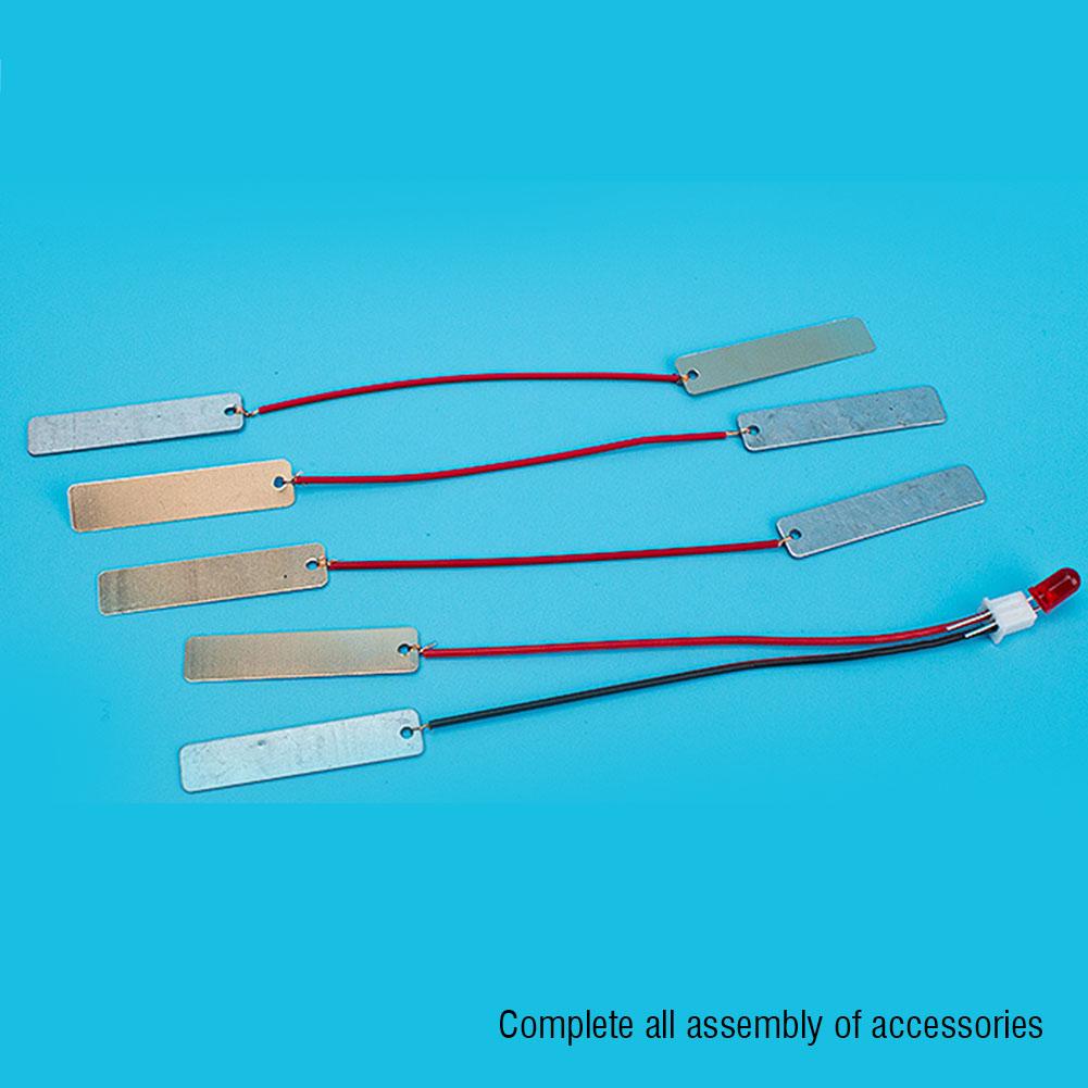 Children DIY Homemade Fruit Battery Power Educational Electricity Generating Experiment