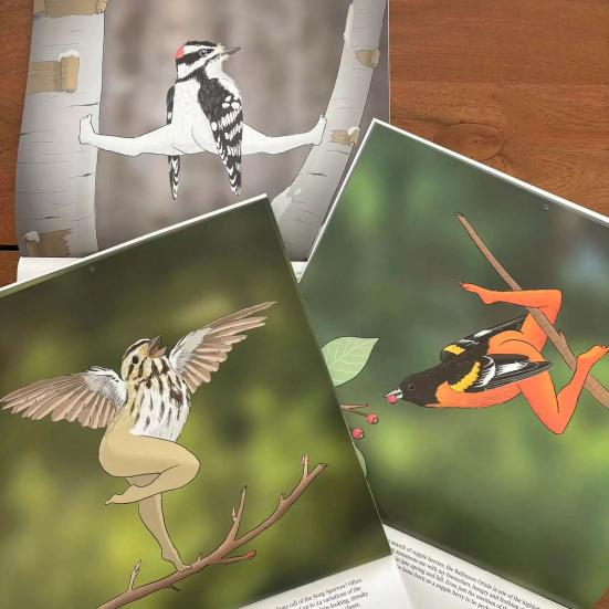 Настенный календарь на 2026 год, забавные птицы, настенный календарь, январь. на декабрь 2026 12-месячный планер оригинальный рождественский подарок-прикол подарок для взрослого