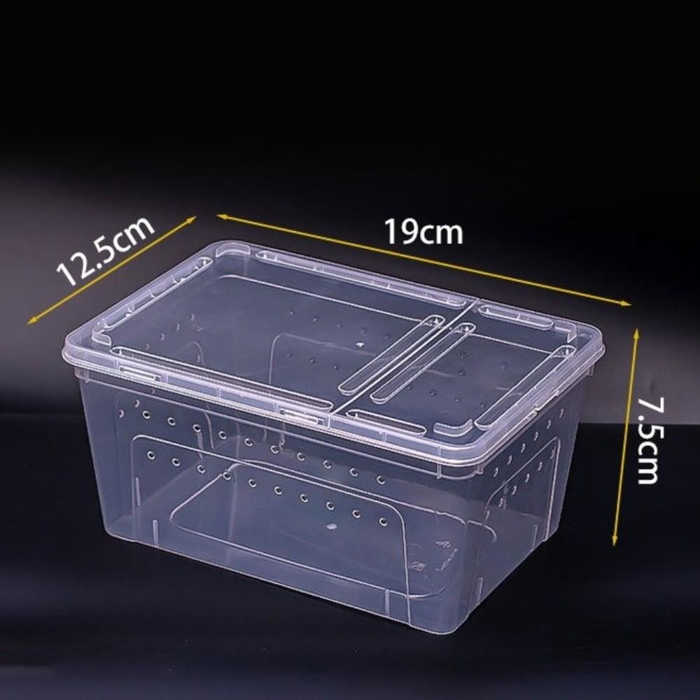 Transparent Turtle Transport Container Ventilated Reptile Terrarium Animal Habitat Cage  Pet House
