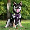 SLC Pet Ultra-light Harness for Small Dogs, Medium-sized Dogs, and Large Dogs, Purple & Green