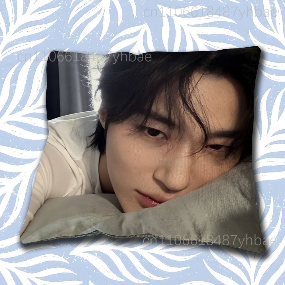 Korea BByeon Woo Seok Cushion Cover Pillow Cover Decor Pillowcase Printed Cushion Case For Couch