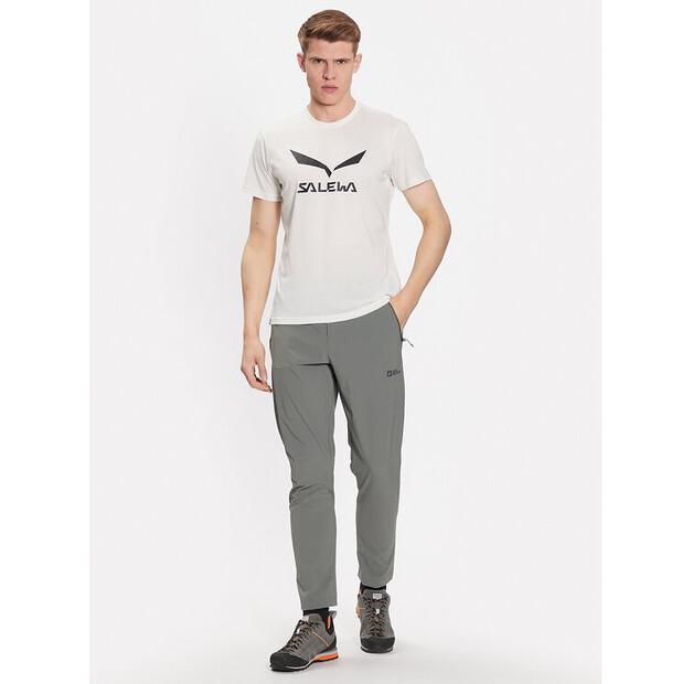 Футболка Salewa Solidlogo Dry