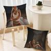 Подушка Чехол Подушка Комната Спальня Изголовье Диван Гостиная Спинка Подушка для сна
