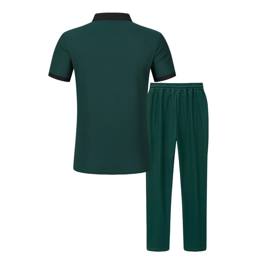 Мужской однотонный повседневный комплект из двух предметов с короткими рукавами и воротником